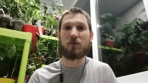 ЛУЧШИЙ ГРУНТ ДЛЯ ЦИТРУСОВ. В какой грунт сажать цитрусы. Какой грунт лучше всего подходит цитрусам