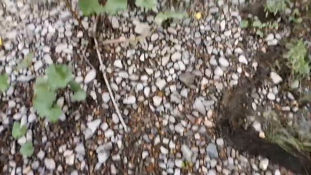 Сплав по реке Чусовая 2019. 2 часть смотреть онлайн