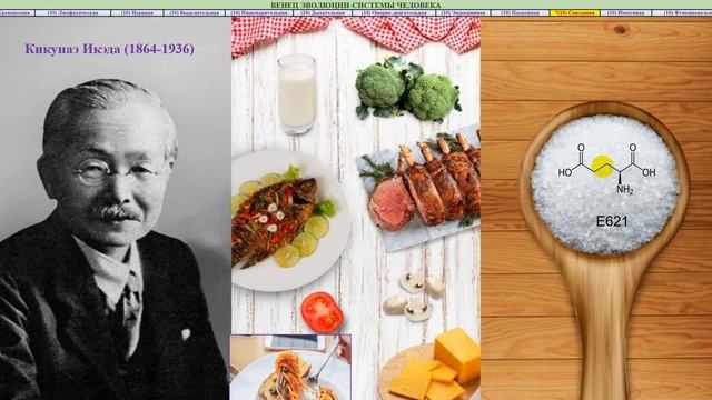 37.11.7 Вкус,умами,язык смотреть онлайн