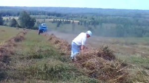 собираем сено граблями и мтз 80