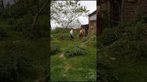 Видео снято в селе Бажлук Кайтагского района
