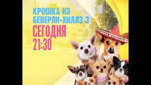 крошка из Беверли Хиллз сегодня в 21:30