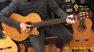 Test Guitar Acoustic Takamine NPT-110N