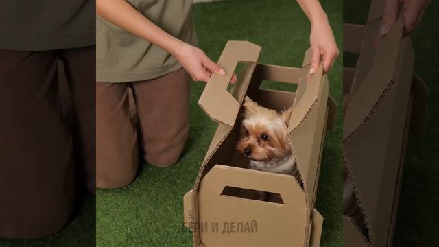 УДИВИТЕЛЬНЫЕ ПОДЕЛКИ ИЗ КАРТОНА || ЗАМЕЧАТЕЛЬНЫЕ ПОДЕЛКИ, КОТОРЫЕ МОЖНО ДЕЛАТЬ ИЗ КАРТОНА