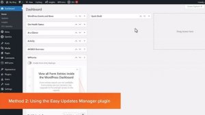 How to Enable Automatic Updates in WordPress for Major Versions Video v1