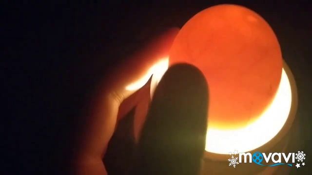 7 сутки инкубации куриных и утиных яиц смотреть онлайн