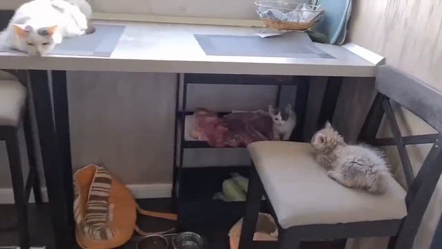 Никто не должен жить ни на улице, ни на  помойке.