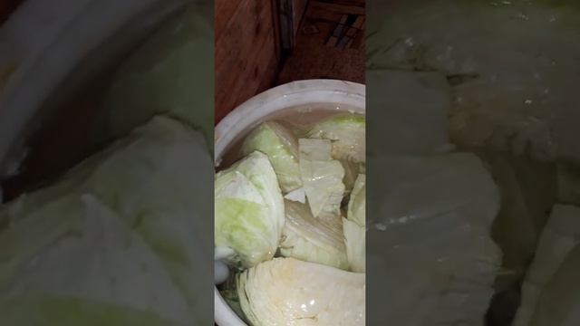квашеная капуста вкусная без преувеличений смотреть онлайн