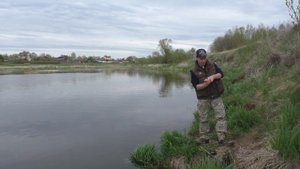 Рыбалка в проводку с берега.