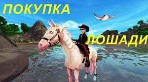 STAR STABLE. ПОКУПКА ВОЛШЕБНОЙ ЛОШАДИ ТЕЛЛИНА И СКАТА