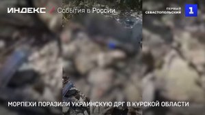 Морпехи уничтожили украинскую ДРГ в Курской области