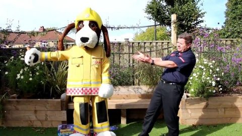 Firework Safety with FiDO the Firedog