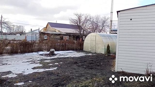 13 марта спасибо Белоречанке Свете за советы.Подарки.Рассада.Спасаю цветы.В теплице.Что с орхидеей? смотреть онлайн