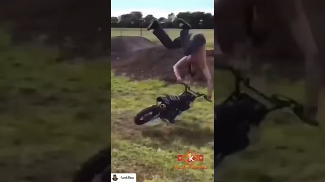 Бесстрашные Долбоящеры???
