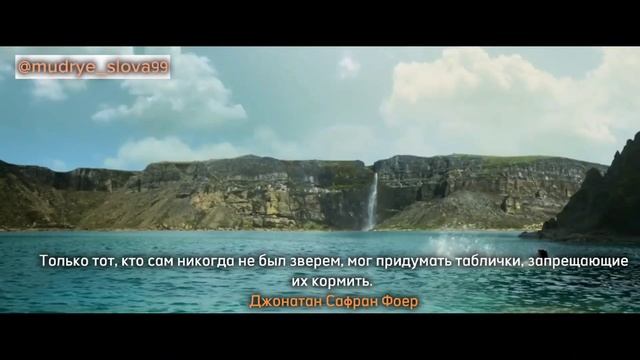 Цитаты Про Животных Со Смыслом / Собака Друг Человека