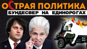 Как написать 200 доносов в месяц, крысиный саммит и TikTok-войска на страже Германии