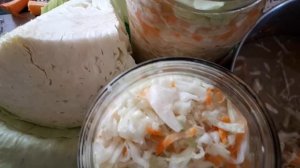 Чудо капуста на закваску!!! Сорт Краутман.