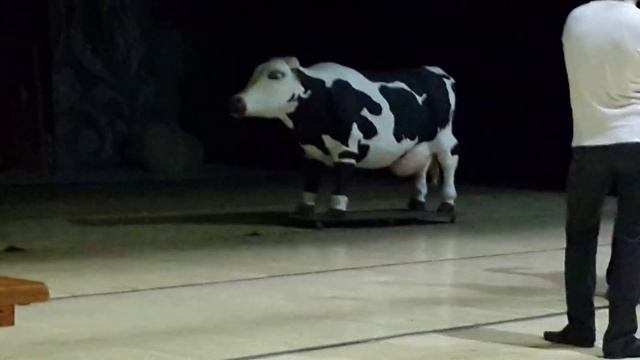 ДЬЯК на СЦЕНЕ Подарок Алексею смотреть онлайн