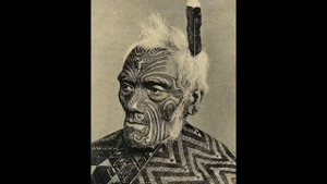 КАКАПО - самый БОЛЬШОЙ попугай в мире?