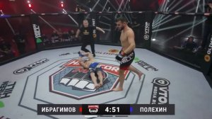 Хадис против Полехина. Хардкор, жесткий накаут.