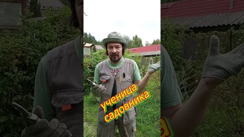 Ученица садовника съела цветок.