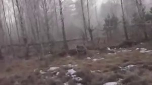 Рыжий лес - панорамы Чернобыля