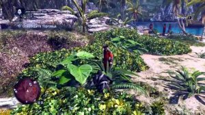 Assassins Creed Black Flag\Ассасин Крид Блэк Флаг Mister Fox вернулся Миссия Кораблекрушение