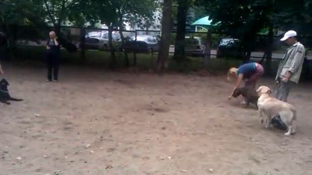 Социум   Сидеть, лежать, стоять