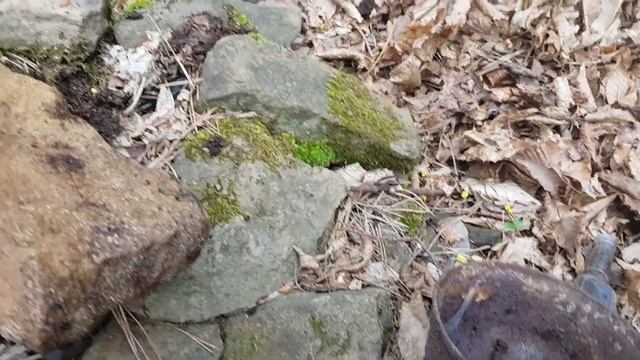 #11 Wykopki chińczykiem Cobra CT-1037 Majówka z wykrywaczem metali moneta międzywojenna guzik orzeł смотреть онлайн