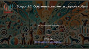 Кинология. Профпереподготовка. Лекция. Профессиональная переподготовка для всех!