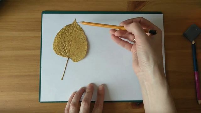 Стилизация природных форм. Лист. смотреть онлайн