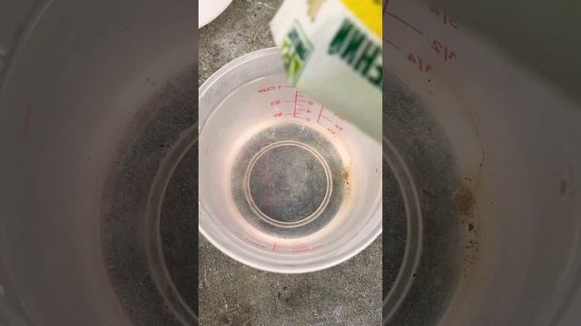 НЕХВАТКА ЖЕЛЕЗА У ОГУРЦА#рекомендации#огурцы#огурцывтеплице#теплица #теплицаурожай#грядки#огород смотреть онлайн