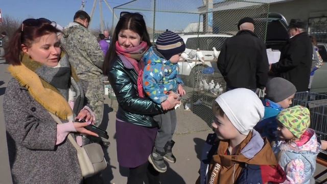 Выставка голубей в Ольховатке