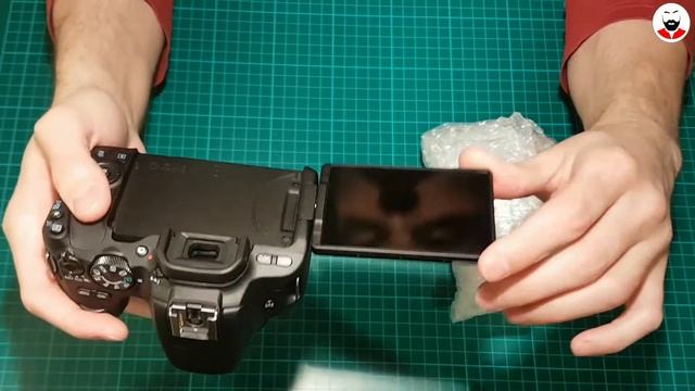 The Best Beginner YouTube Camera? - Canon EOS 200D (Rebel SL2) смотреть онлайн