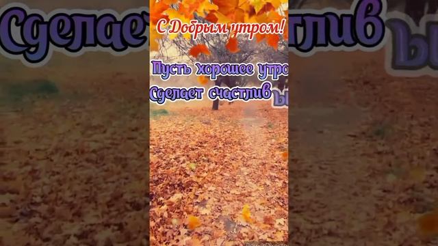 С Добрым осенним утром, красивое видео!???