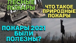 ЛЕСНЫЕ ПОЖАРЫ 2021: ПОСЛЕДСТВИЯ/ ЧТО ТАКОЕ ПРИРОДНЫЕ ПОЖАРЫ, И БЫВАЮТ ЛИ ПОЖАРЫ ПОЛЕЗНЫ?