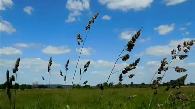 Нежная душа природы 17 06 2016 г Автор Юрец В смотреть онлайн