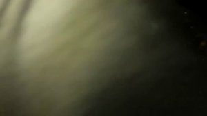 Сброс ошибки E08 E07 Абсорбера (памперса) Canon MG2440 E08 E07