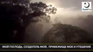 Мишари Рашид – Грустный нашид Иляхи