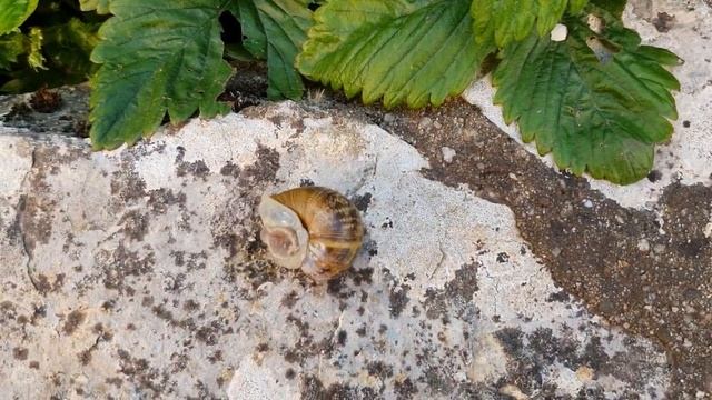 Франция. Красный в гардеробе. Аутфит50+ смотреть онлайн