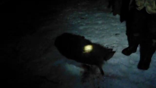 кабанчик на brclub.ru смотреть онлайн