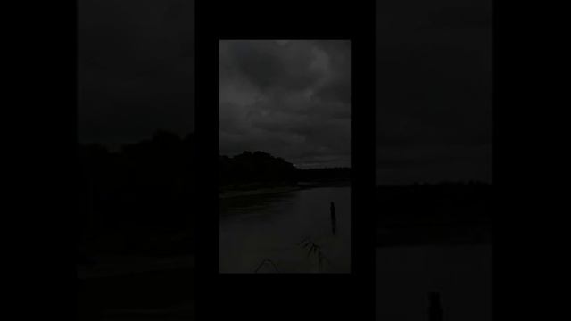 Звук костра у реки. Звуки природы