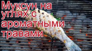 Рецепты из муксуна - как приготовить муксуна пошаговый рецепт - Муксун на углях с ароматными травами