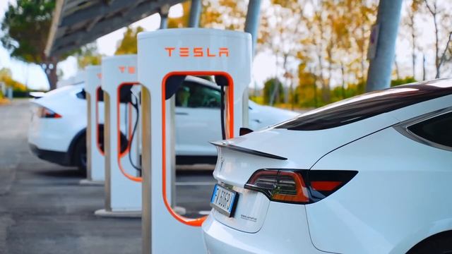 NEW Tesla Product Causes Stock To Surge While Model Y Destroys The Competition смотреть онлайн