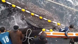 Человек упал в море !!!! A man fell into the water to a SHARK