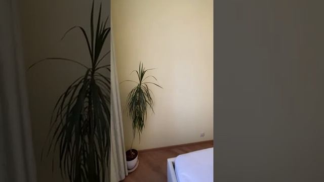 Красногорск, ЖК ОПАЛИХА О3, ул. Пришвина 14 смотреть онлайн