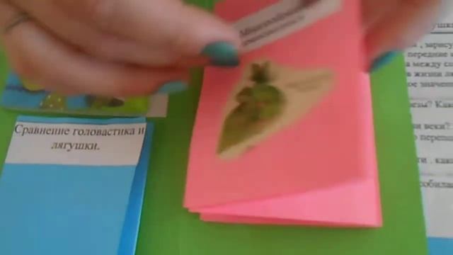 презентация лэпбука