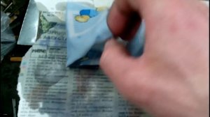 Подготовка семян к посеву. Проращивание.