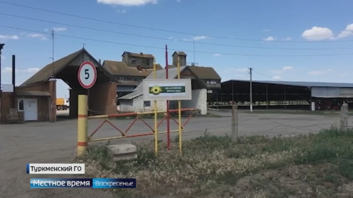 Паи без правил: споры за землю лихорадят ставропольское село