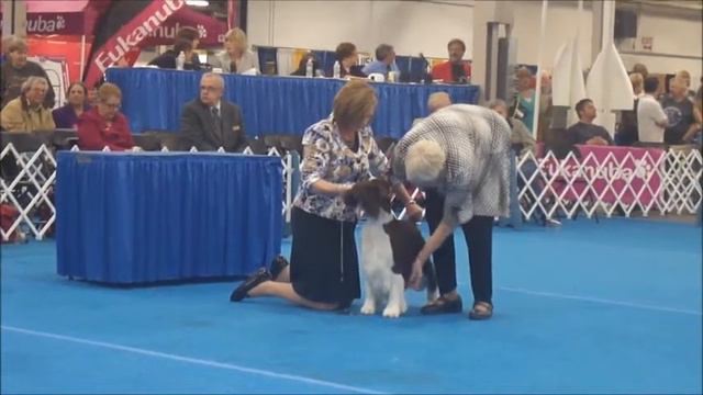 FRI 03/16/12 Louisville Kennel Club Best In Show смотреть онлайн